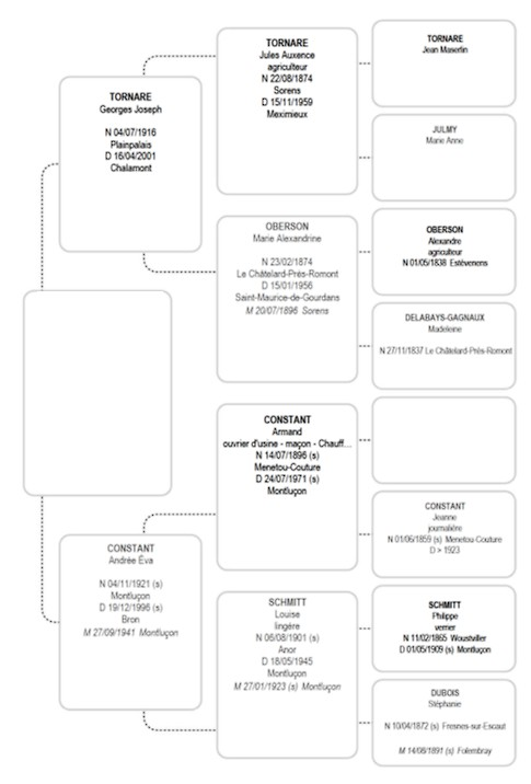 Autre abre d'ascendance